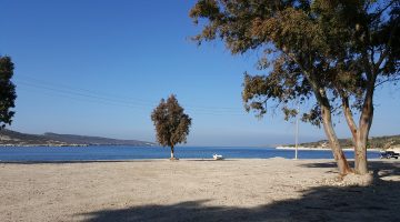 ETİK Başkanı İşler, FOTAV Kurulmalı Foça Turizm Alanı İlan Edilmeli