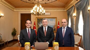 Tavşan Yüreği Zeytini Avrupa Birliği Yolunda